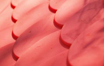 Clachan plastic roof costs